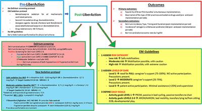 The LiberAction Project: Implementation of a Pediatric Liberation Bundle to Screen Delirium, Reduce Benzodiazepine Sedation, and Provide Early Mobilization in a Human Resource-Limited Pediatric Intensive Care Unit